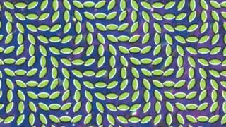 Animal Collective- Summertime Clothes