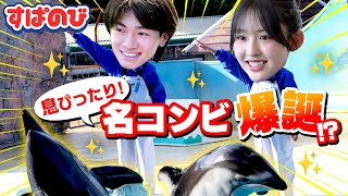【シゴデキ in 水族館】超難関イルカショーに挑む🐬💥 ひなたの怒りメーターMAXで再びブチギレ!?😂｜すぱのびはABEMAで"無料"配信⚡️