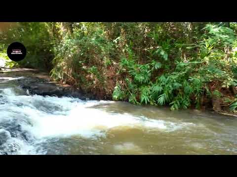 Passeio Na Cachoeira De Pitangueiras Paraná Lugar Maravilhoso 😃