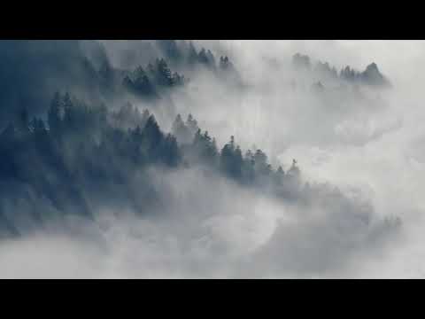 Mindful Minute - Forest Mist (Classroom, Studying, School Mental Break)