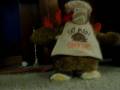 THE CHICKEN DANCE