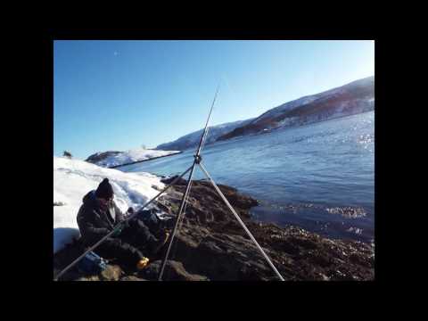 saltstraumen Brygge 2017
