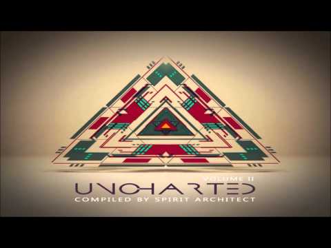 DigiCult vs DNA - Rite Of Passage (Space Tribe Remix)