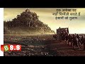 Planet Of The Apes Movie Explained In Hindi Urdu
