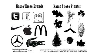 Foraging Quiz | Plants vs. Brands π±