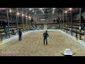 Dixie Horse Auction Day 1
