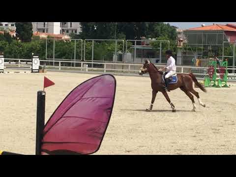 Remerald de Corse 1m Oliva, 4yo BWP, stallion, xI´m special de Muze x Ragazzo