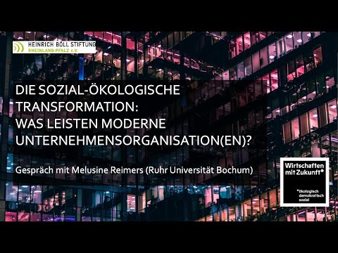 Die sozial-ökologische Transformation: Was leisten moderne Unternehmensorganisation(en)?