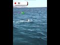 Ronaldo S Surfing Skills