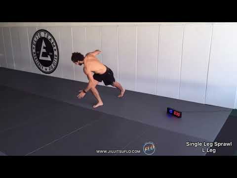 30 Minute Home HIIT  (Follow Along) Workout #9 - Jiu Jitsu FLO