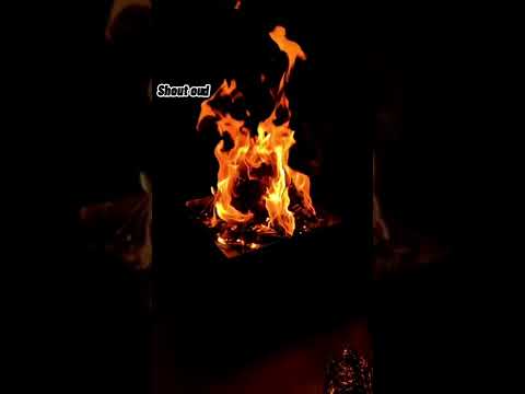 MBK pook— "Broad Day" (Lyrics)🍁