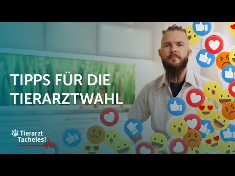 Wie erkennt man einen guten Tierarzt/Tierärztin? | Tierarzt Tacheles mit Sebastian Goßmann-Jonigkeit