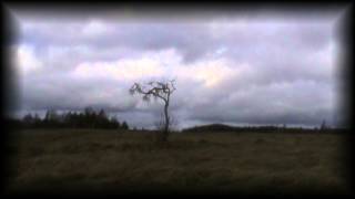 Ray Montford - Shed Your Skin (video by mrsdelirium) - November version