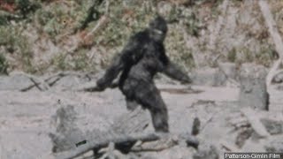 ‘I know what I saw’: Man behind iconic ’60s ‘Bigfoot’ film makes a stop in Fresno
