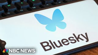 'Choose your own adventure': Bluesky CEO explains why its algorithm is