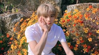 Download lagu [NCT 태용] 이게 바로 태용이가 리더인 이유 mp3