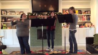 Dance of the Reed Flutes Trio from the Nutcracker with Emily and Katie Hook, December 2014