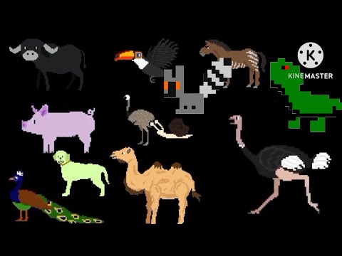 Telepathic Animals, Book version, - @TheKidsPictureShow