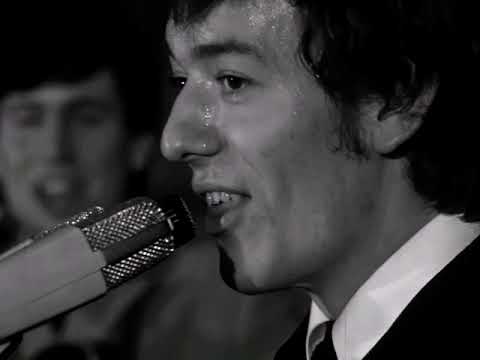 NEW * Look Through Any Window - The Hollies {Stereo} 1965