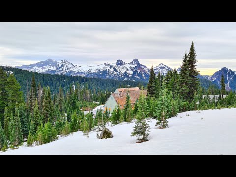 Wandering in the National Park - Mt Rainier National...