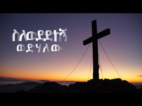 ለምን ወደድከኝ አልልህም lemin wededkegn alilhim - New protestant song | Remix - Tesfaye Gabiso | Lyric song