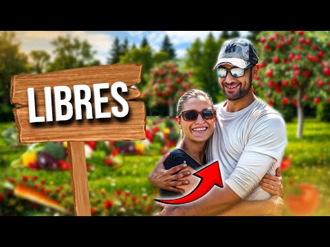 Permaculture & Autonomy: This couple amazed me! - Le Jeune Paysan