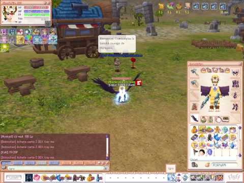 [LEVEL-FLYFF] Tutoriel pour éveiller