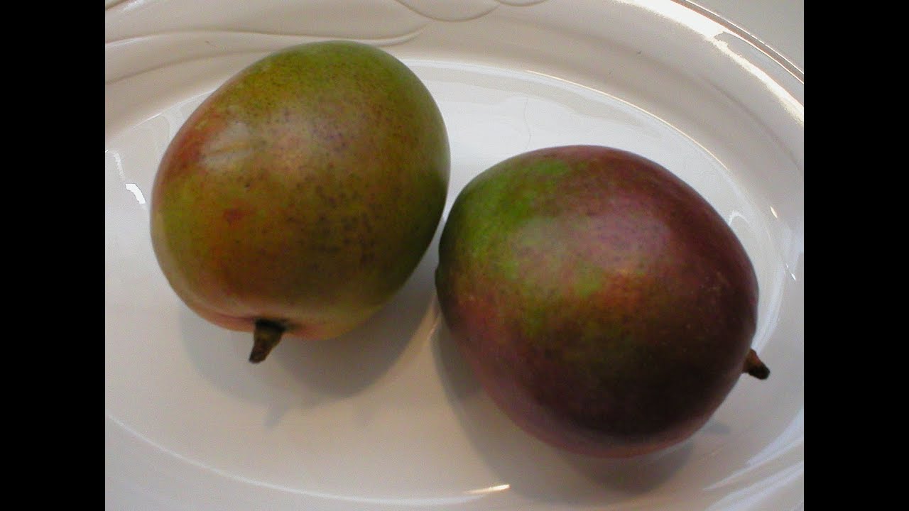 How to choose a ripe mango (video)