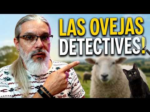 ¿Estas son las mejores OVEJAS DETECTIVES del cine?