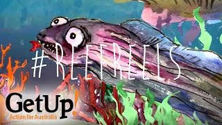 The Last Fish in the Sea - #ReefReels Short Film Competition