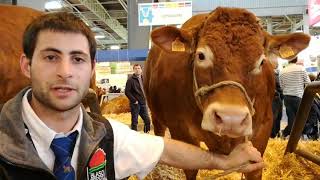 Jeune éleveur de vaches limousines Alexandre Humeau