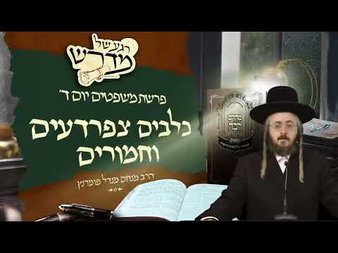 רגע של מדרש - יום ד' פרשת משפטים