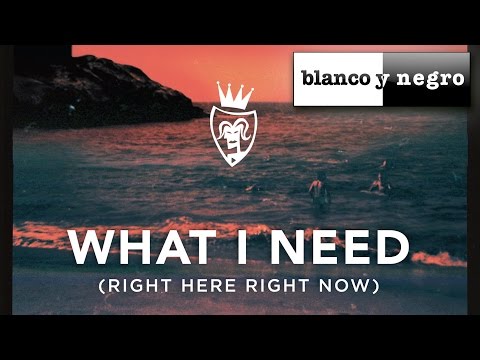 Dasco Feat. Justina Maria - What I Need (Right Here Right Now) Shoko Remix (Official Audio)