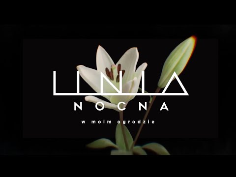 Linia Nocna - W moim ogrodzie | DAAB Cover