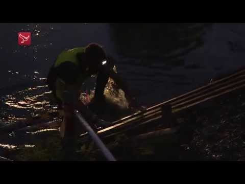 Mud Masters 2015 - Reportage zaterdag