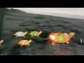 Sesame Street 5 Turtles