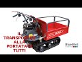 VEDIAMO INSIEME IL NUOVO TRANSPORTER BLUE BIRD...