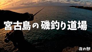 夜のフカセ釣り！見えない駆け引きと一枚の価値