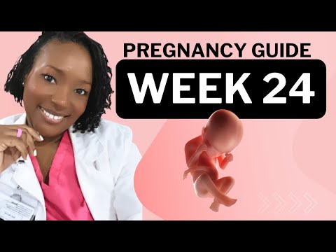 24 Weeks Pregnant: What To Expect