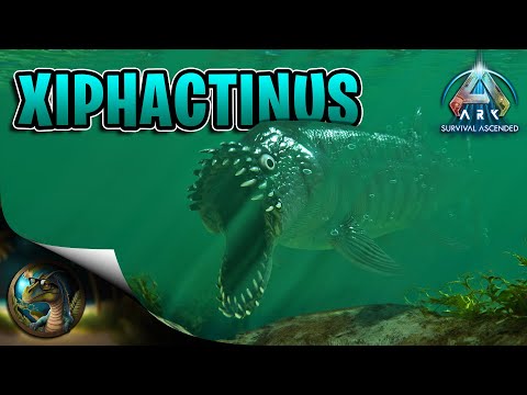 ARK Ascended Xiphactinus Taming & Abilities