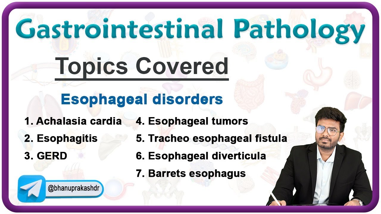 Gastrointestinal Pathology : Esophageal disorders