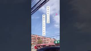 2024.11 羊鍋を食べに行こう！#北京