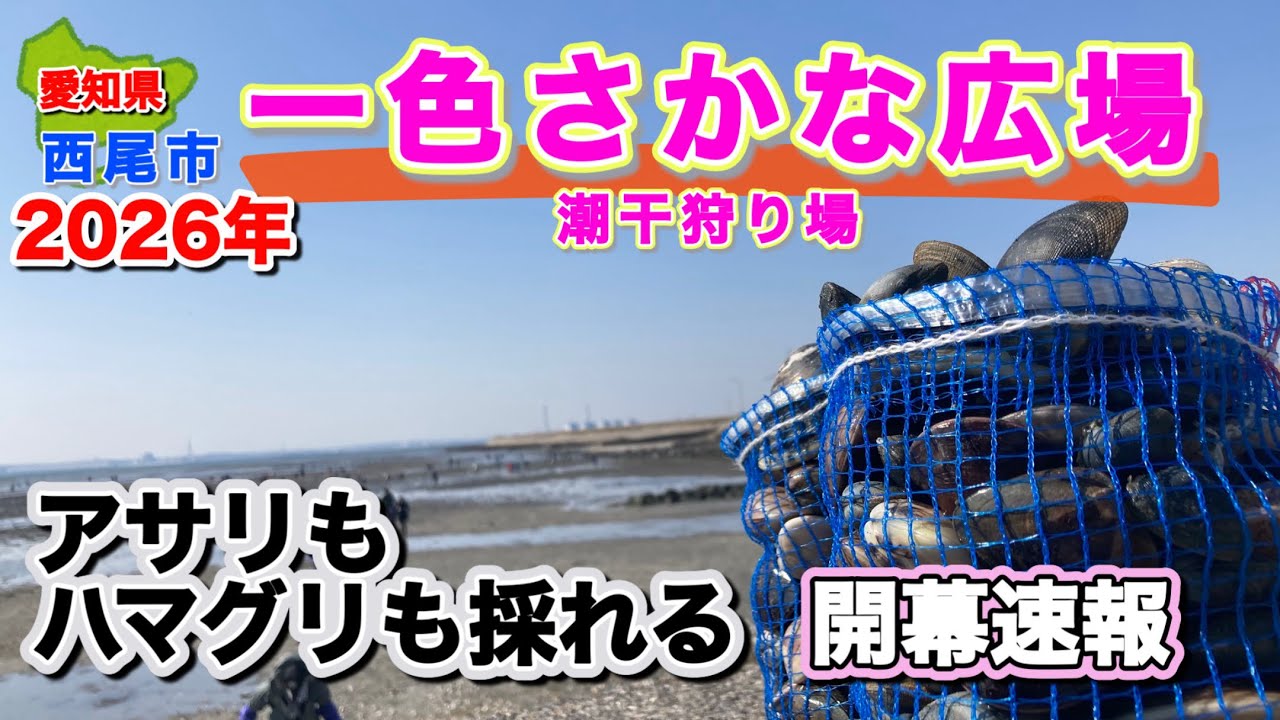 ハマグリ爆沸きポイントは、この辺です。