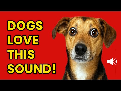 🐶 Dogs Can’t Resist THIS Sound! (Try It on Yours)