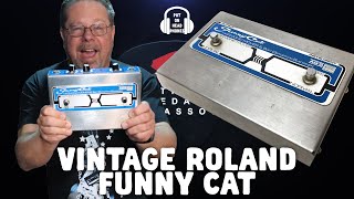 Video thumbnail for VINTAGE ROLAND FUNNY CAT by The Pedal Picassos