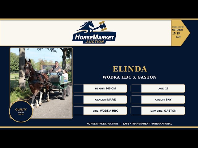 Elinda on the road