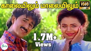 Download lagu காலையிலும் மாலையிலும் இது | Kalaiyilum Malaiyilum |S P Balasubrahmanyam,Sunantha Love Melody HD Song mp3