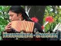 Wuauquikuna - Grassland 