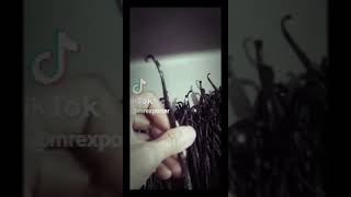 Download lagu Batam Vanilla: Grade B Vanilla Beans mp3 Download lagu Batam Vanilla: Grade B Vanilla Beans mp3