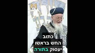 המלחמה שלך!!! - מרן הרב מרדכי אליהו זצוק"ל (הרב מרדכי אליהו זצ"ל) - התמונה מוצגת ישירות מתוך אתר האינטרנט יוטיוב. זכויות היוצרים בתמונה שייכות ליוצרה. קישור קרדיט למקור התוכן נמצא בתוך דף הסרטון